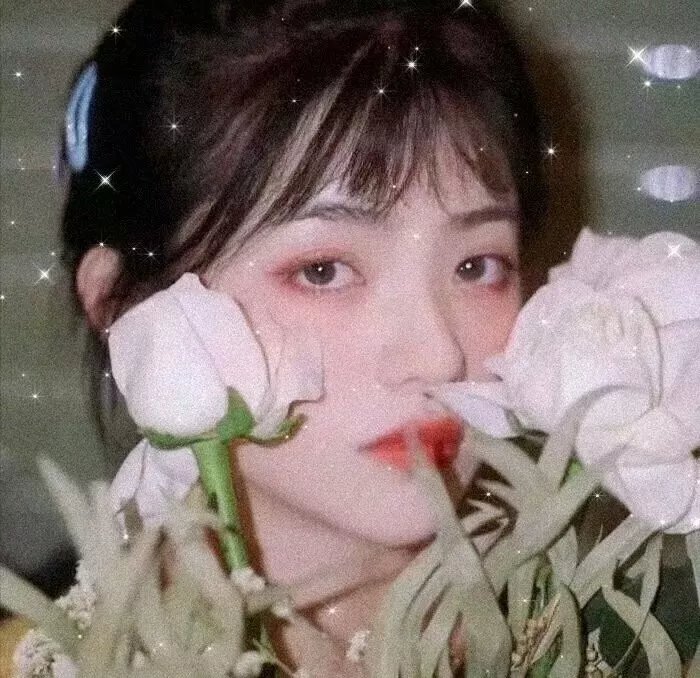 综艺大集合